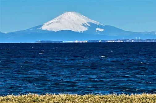 海目の前”海と富士望む希少土地